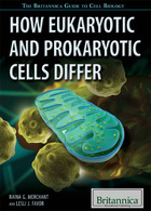 How Eukaryotic and Prokaryotic Cells Differ, 2015