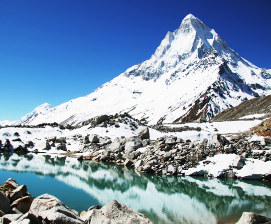 The tallest mountain in the world is in the Himalayas.