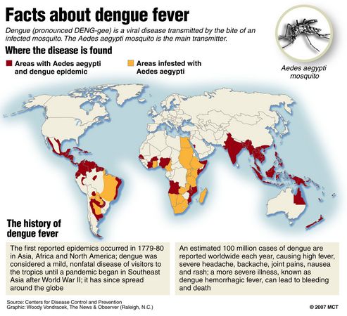 map of the world where mosquitoes spread dengue fever