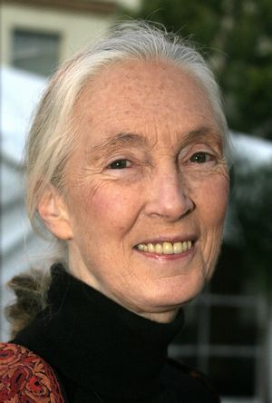 Jane Goodall is famous for studying chimpanzees.