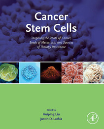 Cancer Stem Cells, ed. , v. 