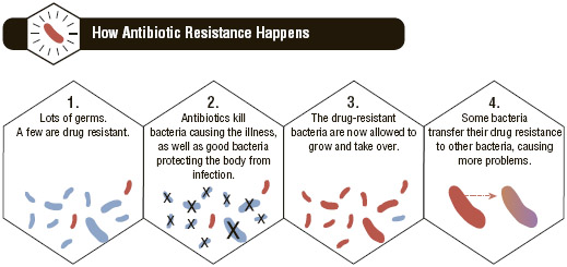 Antibiotic Resistance