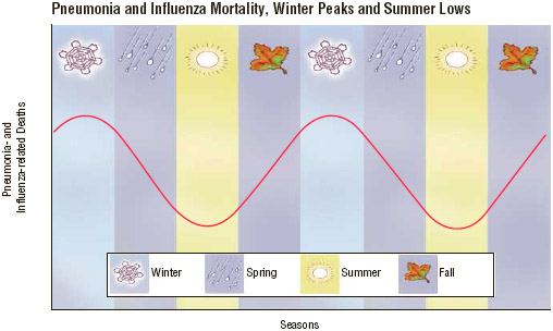 Cases of influenza virus infection typically peak in the fall and winter and decrease in the warmer months. SOURCE: Centers for Disease Control and Prevention (CDC).