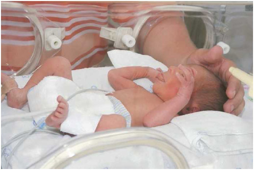 Premature babies often are put in incubators to keep them warm and protected while they develop and mature.
