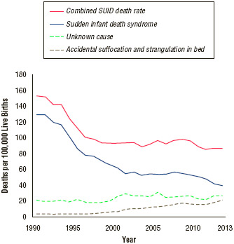 Trends in Sudden Unexpected Infant Death (SUID) and Sudden Infant Death Syndrome (SIDS) by Cause in the United States, 1990–2013