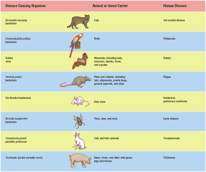 Zoonoses Overview, What are zoonoses?, Are zoonoses contagious?, What