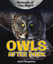 Owls After Dark, ed. , v. 