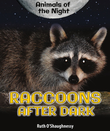 Raccoons After Dark, ed. , v. 