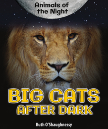 Big Cats After Dark, ed. , v. 