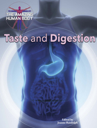 Taste and Digestion, ed. , v. 