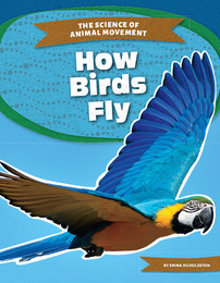 How Birds Fly, ed. , v. 