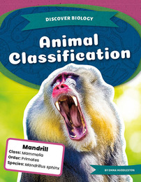 Animal Classification, ed. , v. 