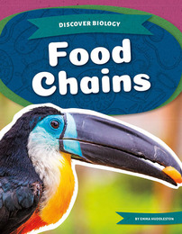 Food Chains, ed. , v. 