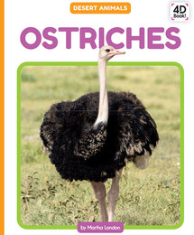 Ostriches, ed. , v. 