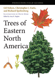 Trees of Eastern North America, ed. , v. 