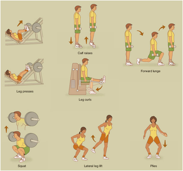 exercise for legs