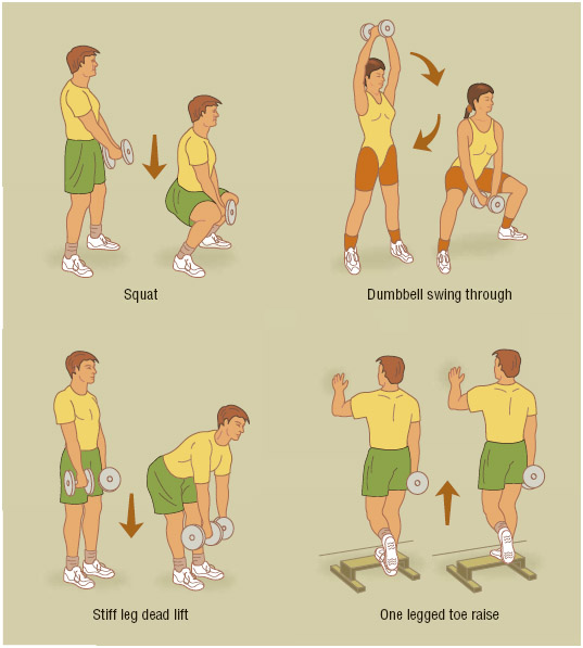 Best Leg Exercises  Lower Body Strength Training