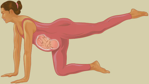 Exercise during pregnancy can be beneficial for both the mother and the developing fetus. To obtain the most benefits with the fewest risks, exercise should be low-impact and mild to moderate in intensity.