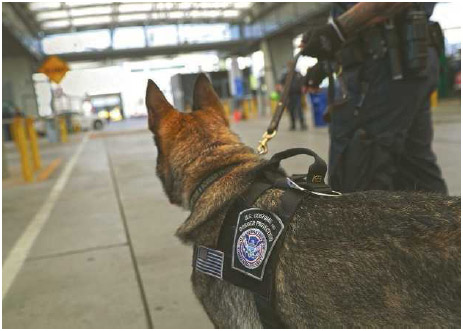A U.S. Customs and Border Protection K-9 unit waits to check vehicles crossing into the United States from Mexico in San Ysidro, California.