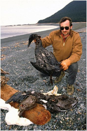 A slow horrible death for these animals who perished following the tragic Exxon Valdez oil spill. MR.