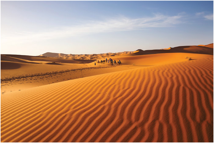 Sand dunes in the Sahara Desert, Morocco.