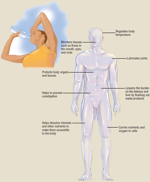 Hydration: Benefits of hydrating the body