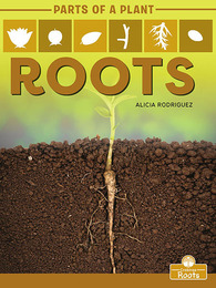 Roots, ed. , v. 