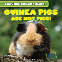 Guinea Pigs Are Not Pigs!, ed. , v. 