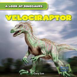 Velociraptor, ed. , v. 