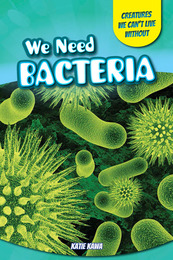 We Need Bacteria, ed. , v. 