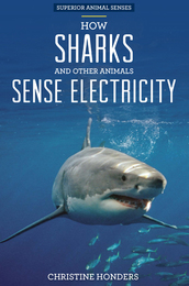 How Sharks and Other Animals Sense Electricity, ed. , v. 