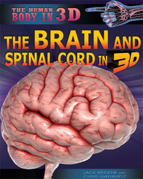 The Brain and Spinal Cord in 3D, ed. , v. 