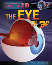 The Eye in 3D, ed. , v. 