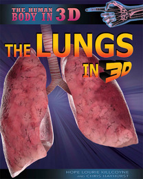 The Lungs in 3D, ed. , v. 