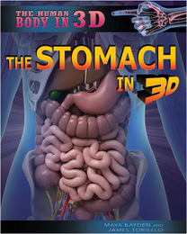 The Stomach in 3D, ed. , v. 
