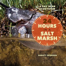 24 Hours in a Salt Marsh, ed. , v. 