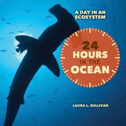 24 Hours in the Ocean, ed. , v. 