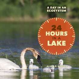 24 Hours in a Lake, ed. , v. 
