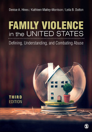Family Violence in the United States, ed. 3, v. 