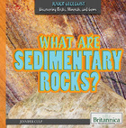 What are Sedimentary Rocks?, ed. , v. 
