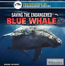 Saving the Endangered Blue Whale, ed. , v. 
