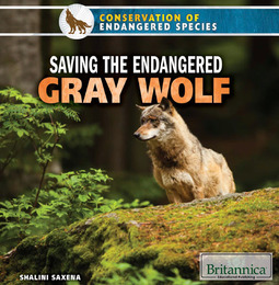 Saving the Endangered Gray Wolf, ed. , v. 