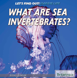 What Are Sea Invertebrates?, ed. , v. 