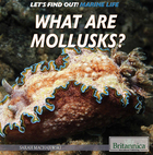 What Are Mollusks?, ed. , v. 