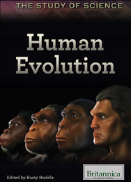Human Evolution, ed. , v. 