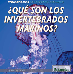 ¿Qué son los invertebrados marinos? (What Are Sea Invertebrates?), ed. , v. 