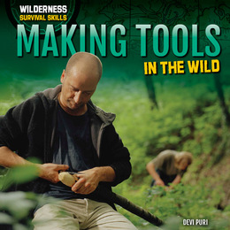 Making Tools in the Wild, ed. , v. 