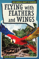 Flying With Feathers and Wings, ed. , v. 
