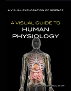 A Visual Guide to Human Physiology, ed. , v. 