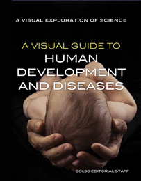 A Visual Guide to Human Development and Diseases, ed. , v. 